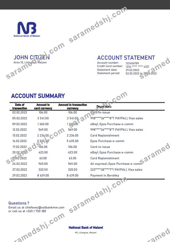 Malawi National Bank of Malawi bank statement template in Word and PDF format